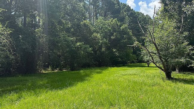 Photo of 17370 County Road 52, Silverhill, AL