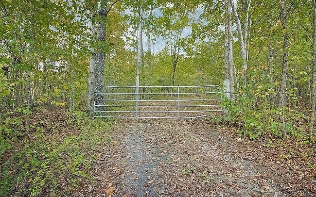 Preview of property located at 0 Smith Mountain Rd