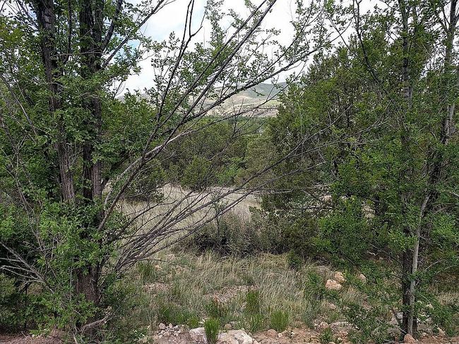 Image of 106 Agua Fria Dr