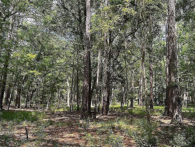 67 Masters Dr, Daufuskie Island, SC