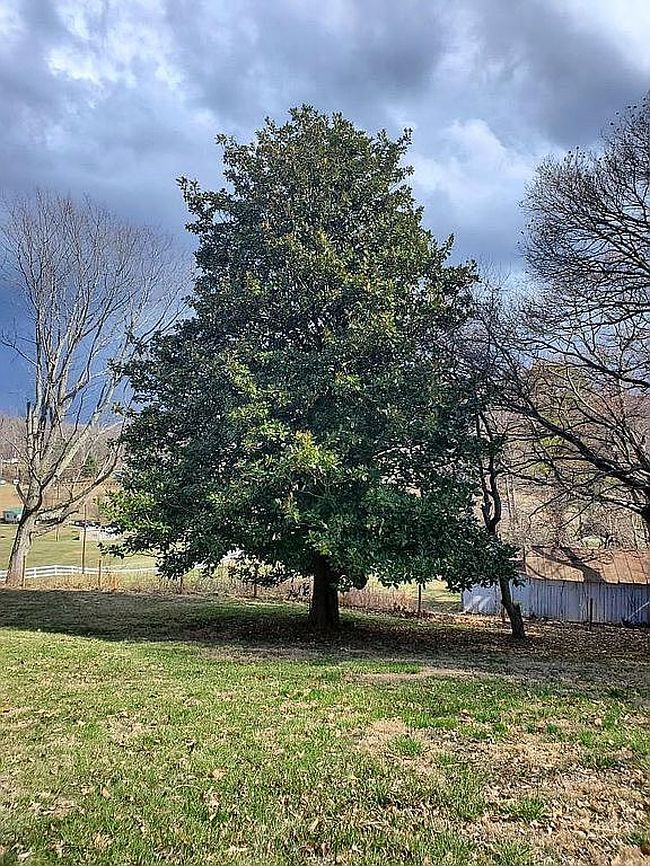 Image of 168 Hilltop Rd