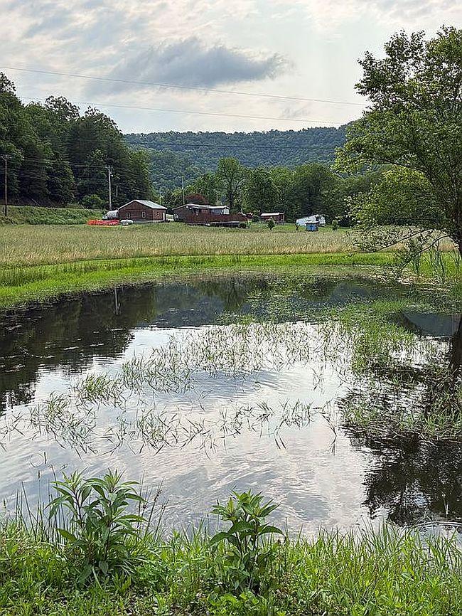 Image of 4264 Highway 1482