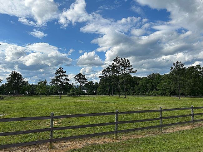 Image of 7427 County Road 67