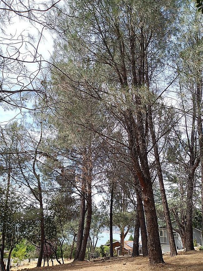 Photo of 4660 Hawaina Way, Kelseyville, CA