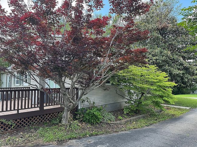 Image of 218 W Vine St