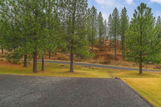 Photo of 42985 Miles Creston Rd N, Davenport, WA