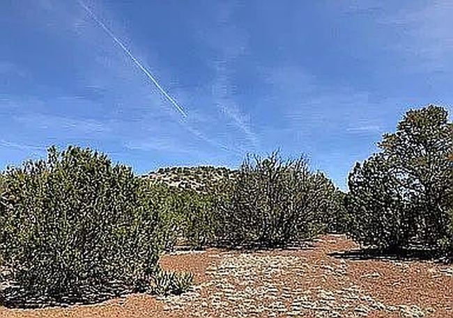 Photo of 697 E Pawpaw Ln, Williams, AZ