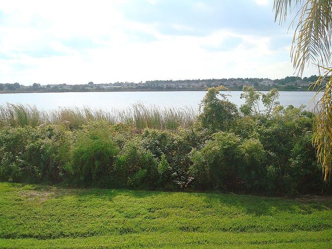 Image of 1541 Lake Villa Dr