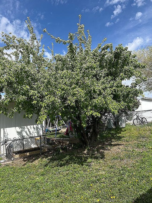 Photo of 424 E 900 N #3, Ogden, UT