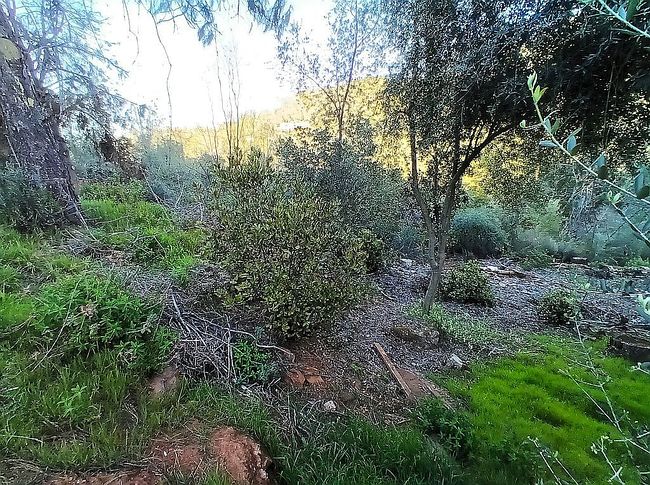 Image of 4622 Kaweah Rd