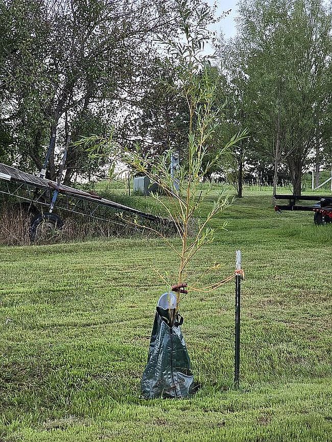 Image of 28359 W Silent Dr