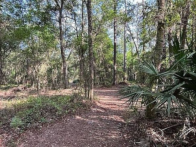 Photo of 0 County Road 209 S, Green Cove Springs, FL