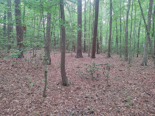 Image of 1216 Back Creek Rd