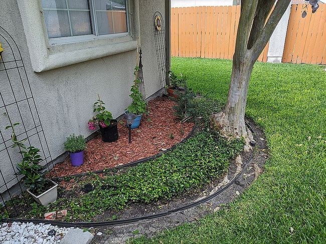 Image of 4541 Ballad Tree Dr