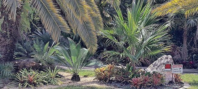 Photo of 182 Nw 16th St, Homestead, FL