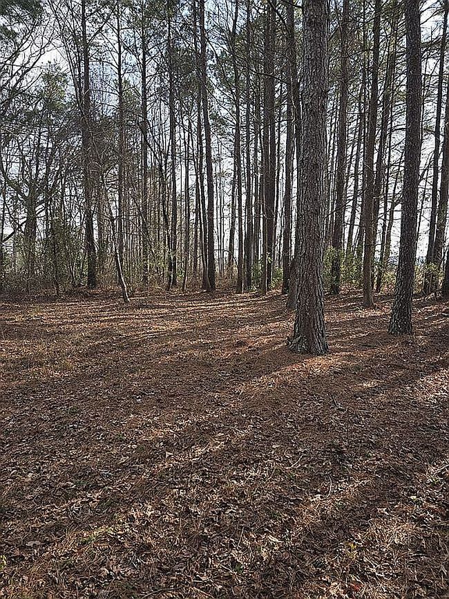 Image of 7657 Rufus Johnson Rd