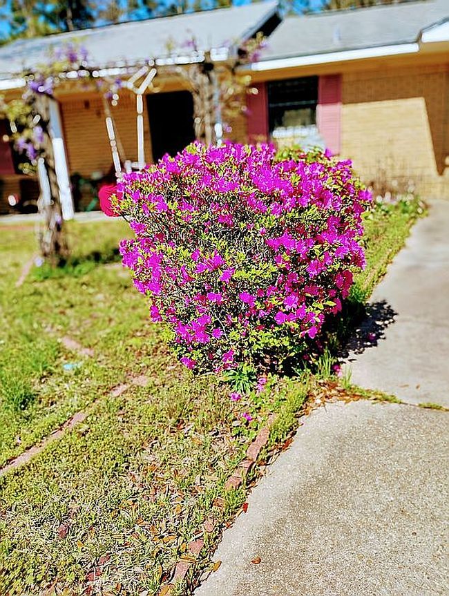 Image of 312 Mary Dr