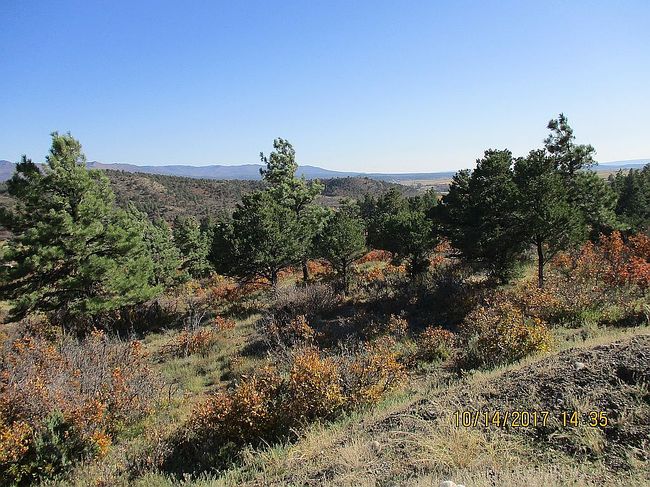 Photo of 43767 Us Highway 160, Bayfield, CO