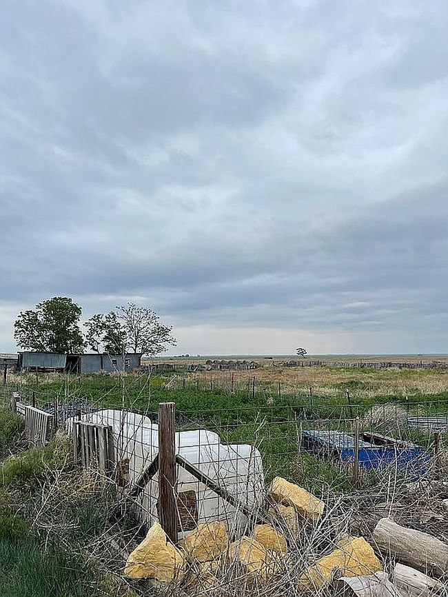 Image of 10873 Road R