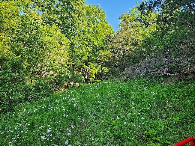 Image of 929 Fisher Rd