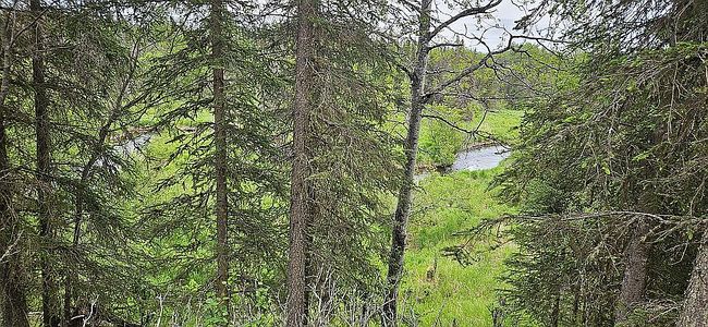 Photo of 20820 Ray St, Kasilof, AK