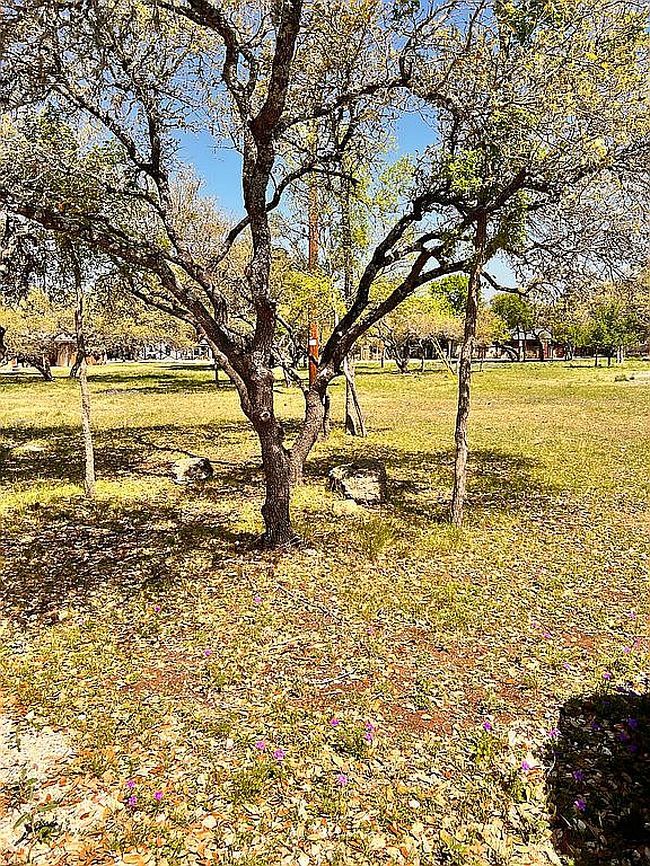 Image of 309 Lange Rd