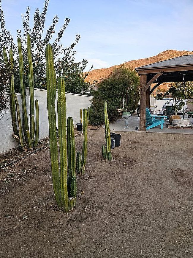 Image of 12738 Wilmac Ave
