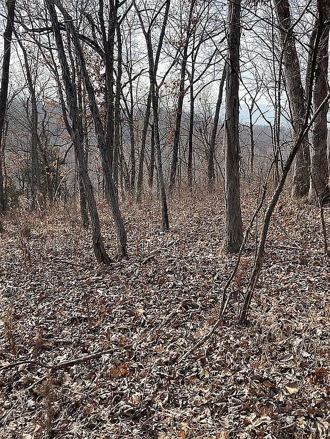 Image of 32893 Cooney Creek Rd