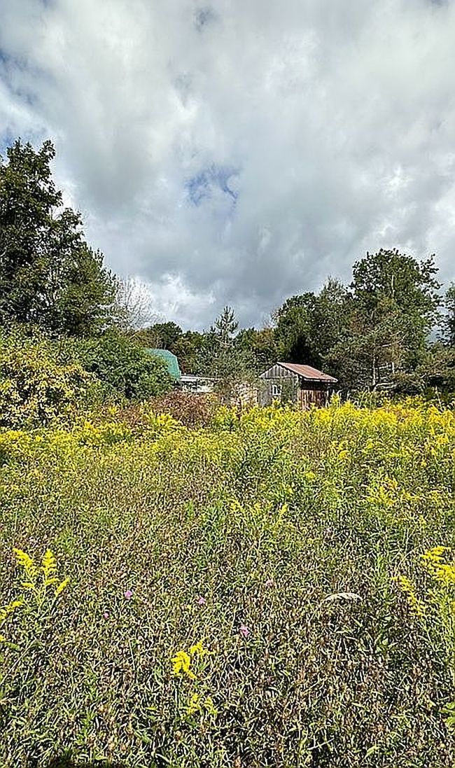 Photo of 5002 County Route 17, Friendship, NY