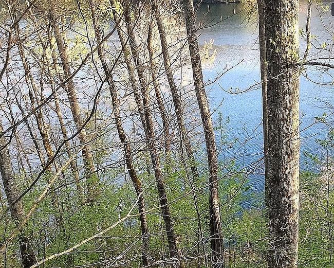 Image of Nantahala Shrs Lot 13