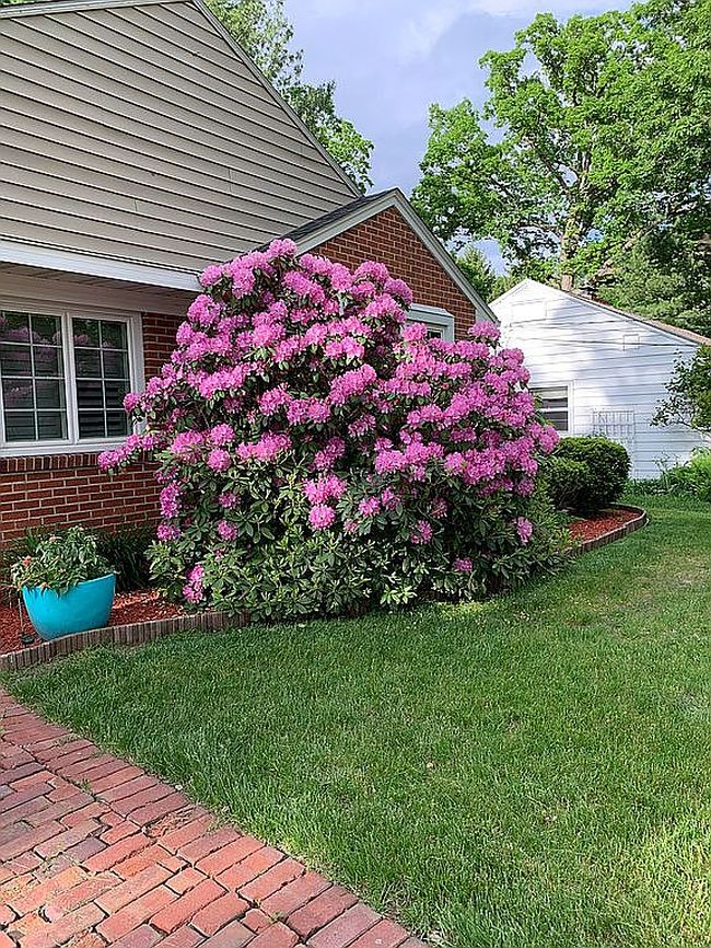 Photo of 440 Liberty Dr Se, Cedar Rapids, IA