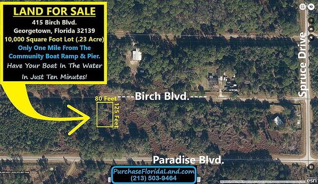 Preview of property located at 415 Birch Blvd