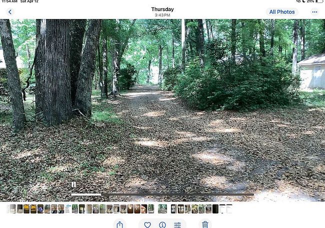 Image of 399 Martins Landing Rd