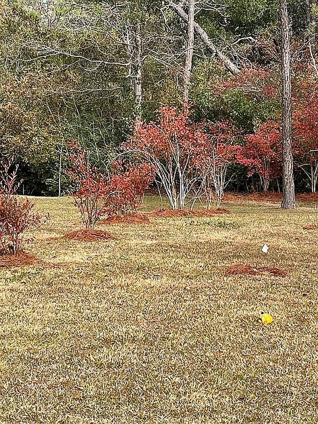 Photo of 2293 King Bee Rd, Perkinston, MS