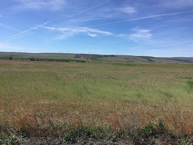Photo of 146 Three Spurs Loop, Goldendale, WA
