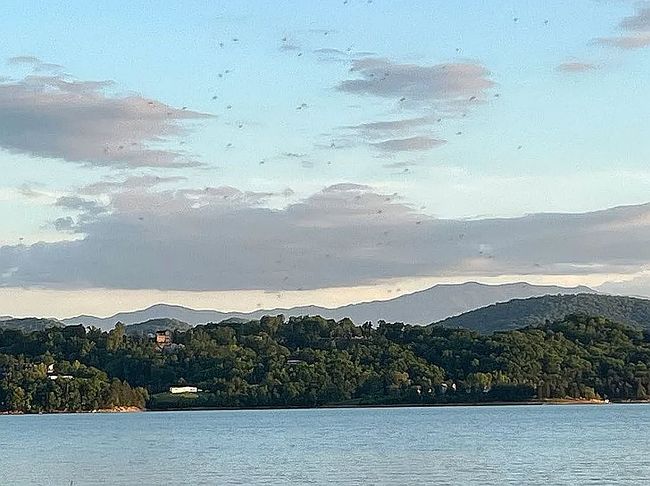 Photo of 2225 Ted Moore Rd, Dandridge, TN