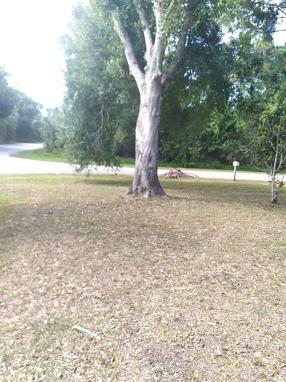 Preview of property located at 505 Palm Ave