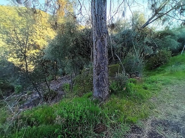 Image of 4622 Kaweah Rd