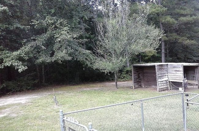 Photo of 1291 Ga Highway 188 #2, Cairo, GA