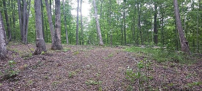 Image of 1143 Spaws Creek Rd