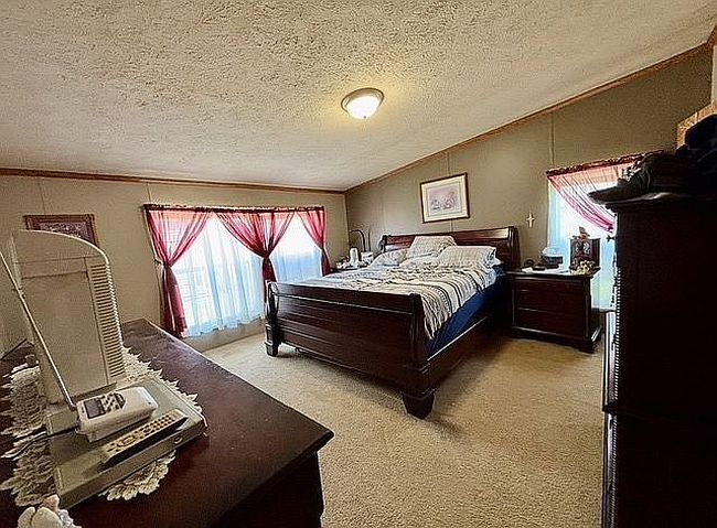 Photo of 149 Memorial Dr, Potterville, MI