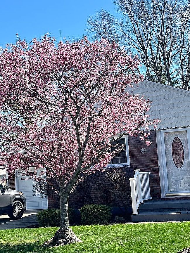 Photo of 40 Lenora Dr, Hamburg, NY