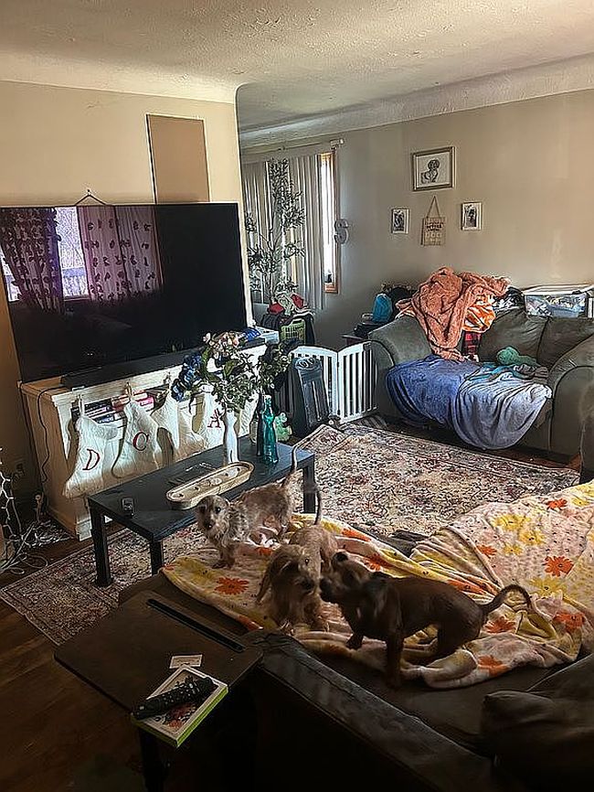 Image of 2320 Grovewood Ave
