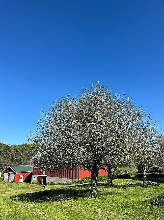 Photo of 11472 Southard Rd, Cato, NY