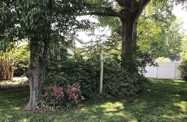 Image of 390 Cross St
