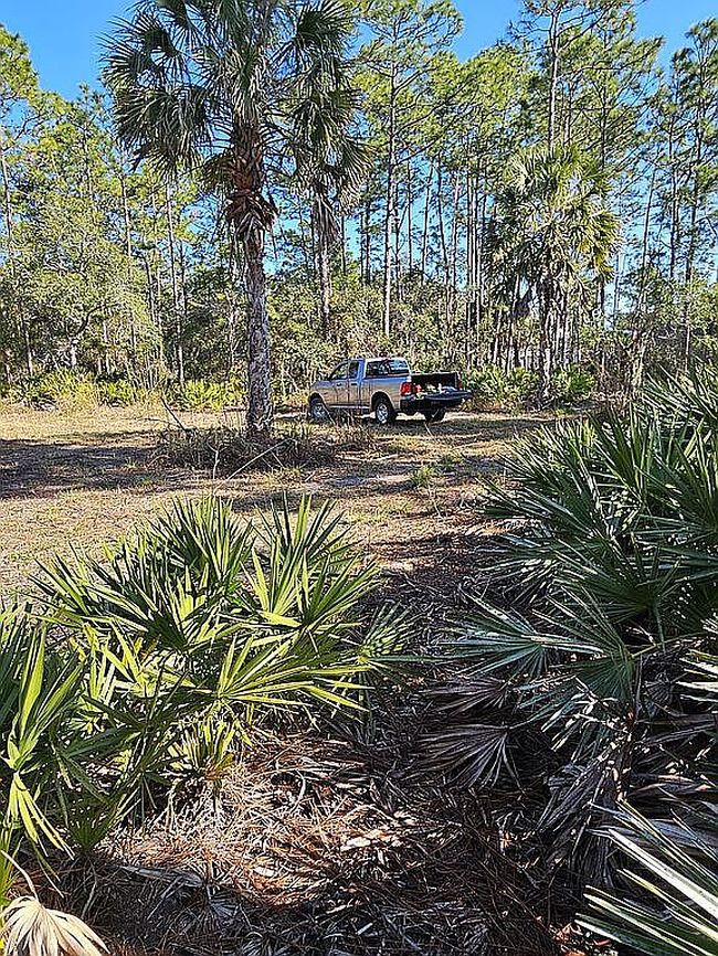 Photo of 2733 S Bolton Ave, Homosassa, FL