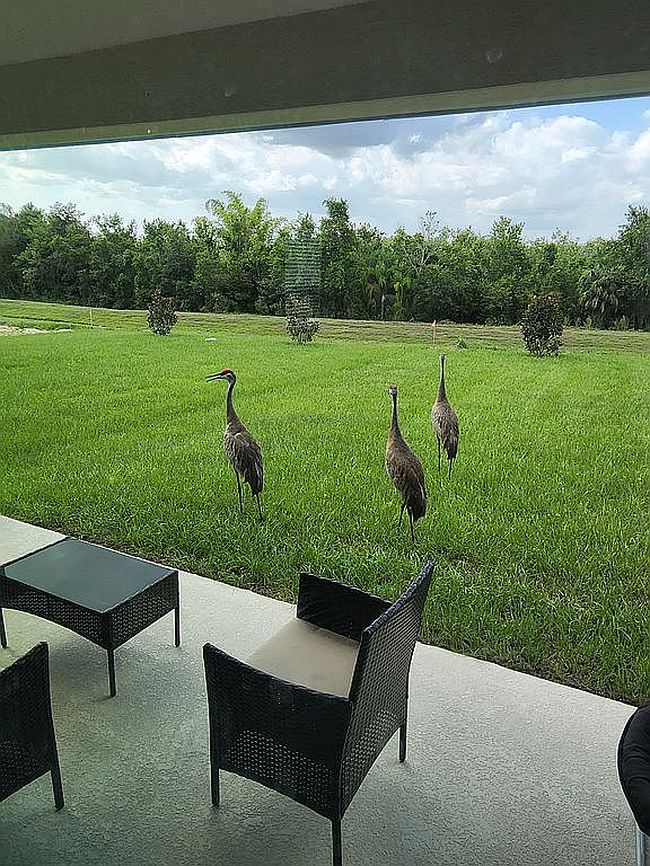 Photo of 713 Sarner Pass Way, Winter Haven, FL