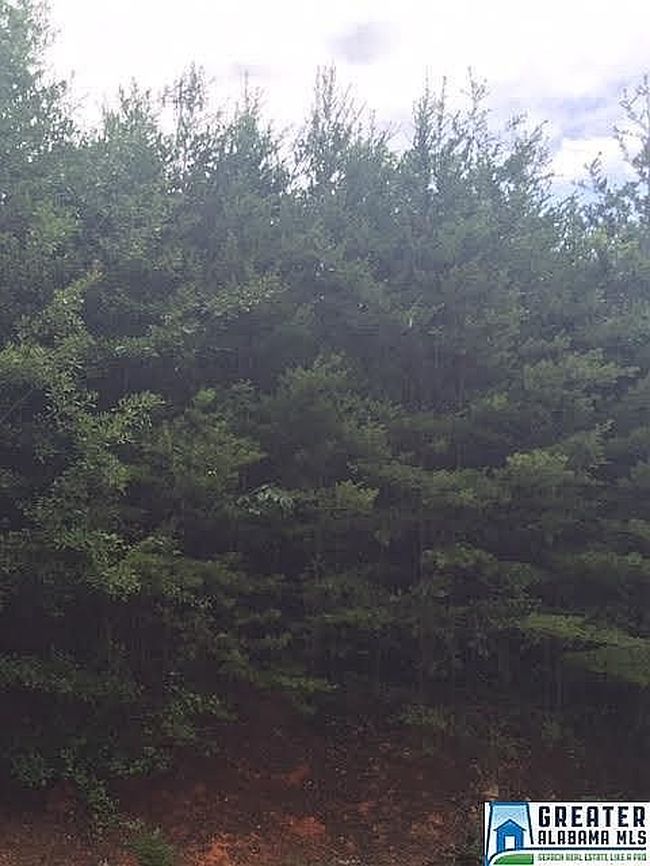 Photo of 4668 Elfreth Johnson Rd