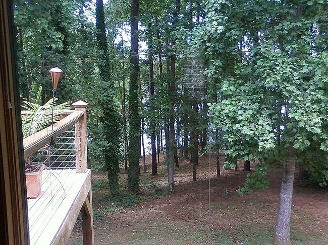 Image of 209 Giles St