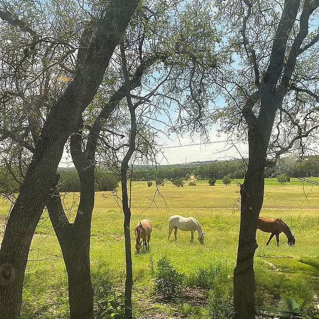 Photo of 1280 Stoney Ridge Rd, Bulverde, TX